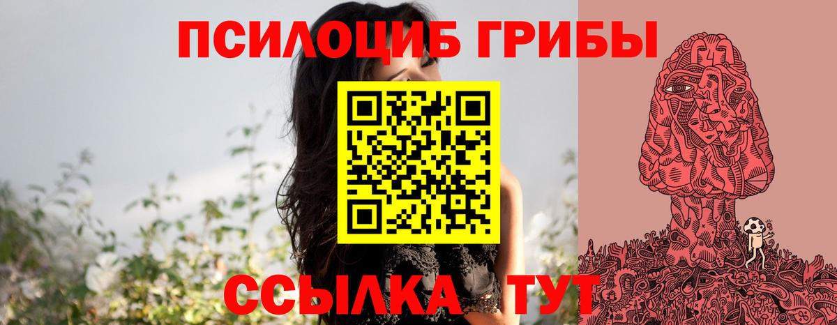 купить закладку  Псилоцибиновые грибы прущие грибы  Вход с VPN  Белая Калитва  Псилоцибиновые грибы прущие грибы 